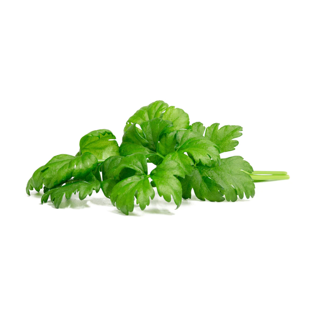 Click And Grow 3 Packs Plant Pods Leaf Celery Shopee Singapore