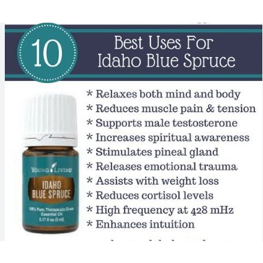 Ind. Distributor Young Living Idaho blue spruce Essential Oil 5ml Shopee Singapore