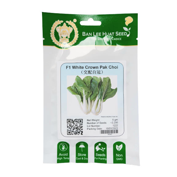 Ban Lee Huat Seed Local Singapore Growers Choice Seed Leafy White