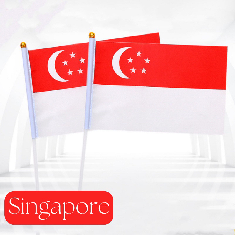 NEW Singapore Flag Bunting Small Flag National Fans Waving Flags Games