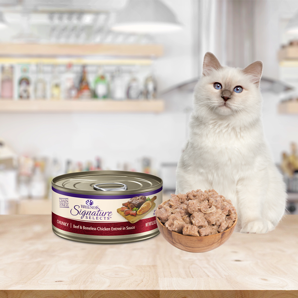 Wellness CORE Signature Selects Canned Cat Food 2.8oz 5.3oz Shopee Singapore