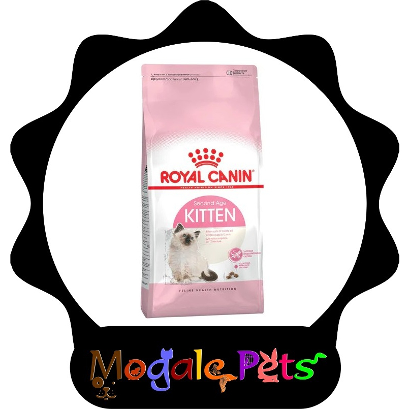 Kitten dry hotsell food age