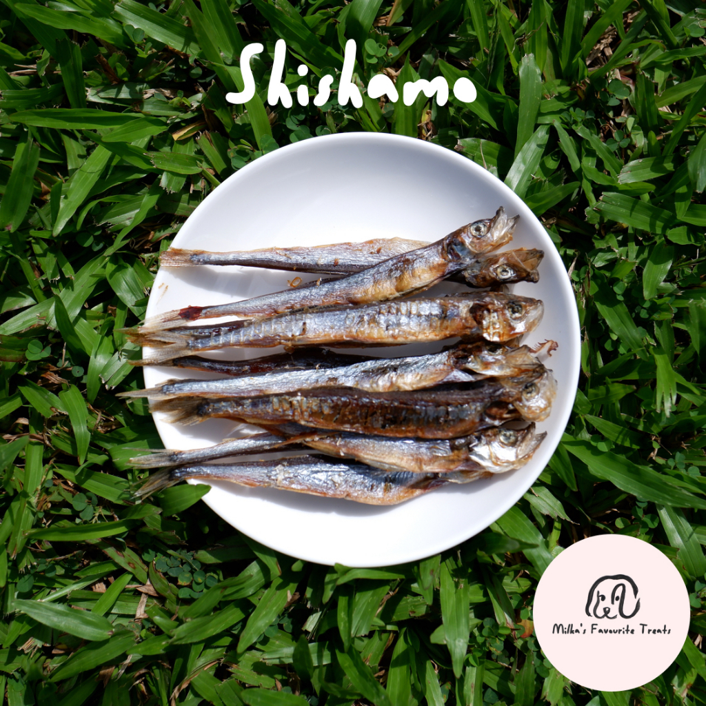 Dehydrated Shishamo Fish (Capelin) for Dogs and Cats (All Natural
