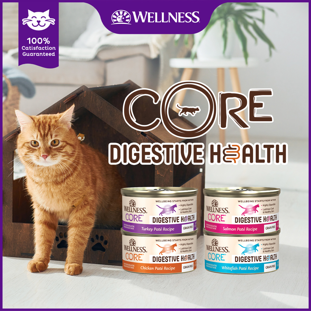 Wellness CORE Digestive Health Wet Cat Food 3oz Shopee Singapore
