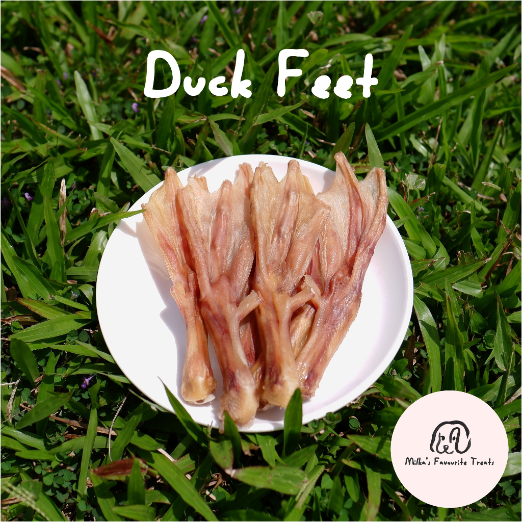 Dehydrated Duck Feet for a Healthy Dental Chew (All Natural, Single