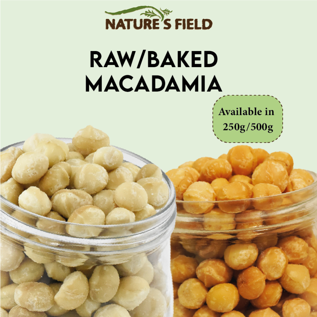 Raw/Baked Macadamia Nuts (250g/500g) Shopee Singapore