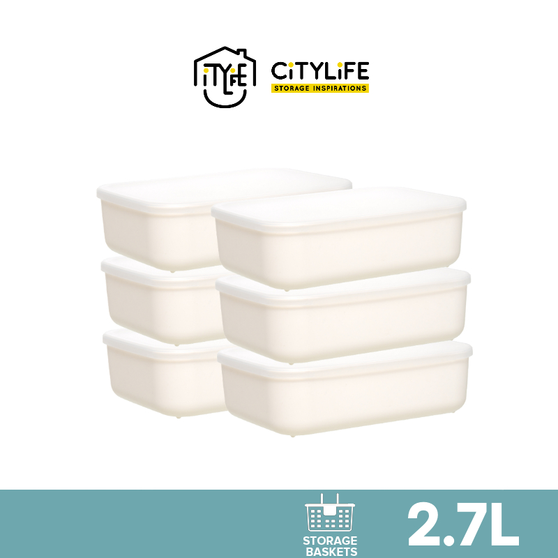 Citylife 2.7L MultiPurpose Desk Wardrobe Sleek Storage Container with