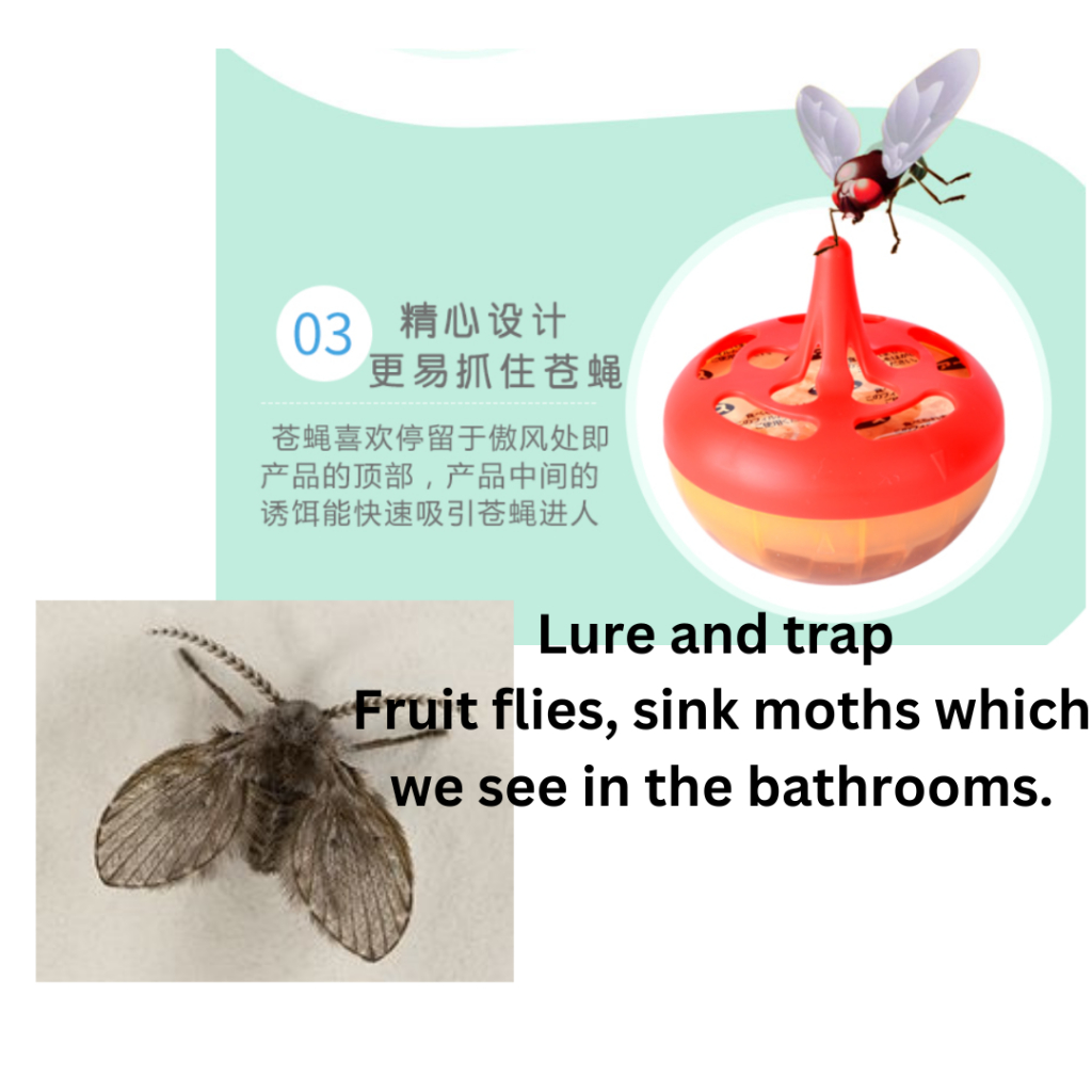 Fruit flies Bathroom fleas moth Jelly trap (Sg ready stock) Shopee