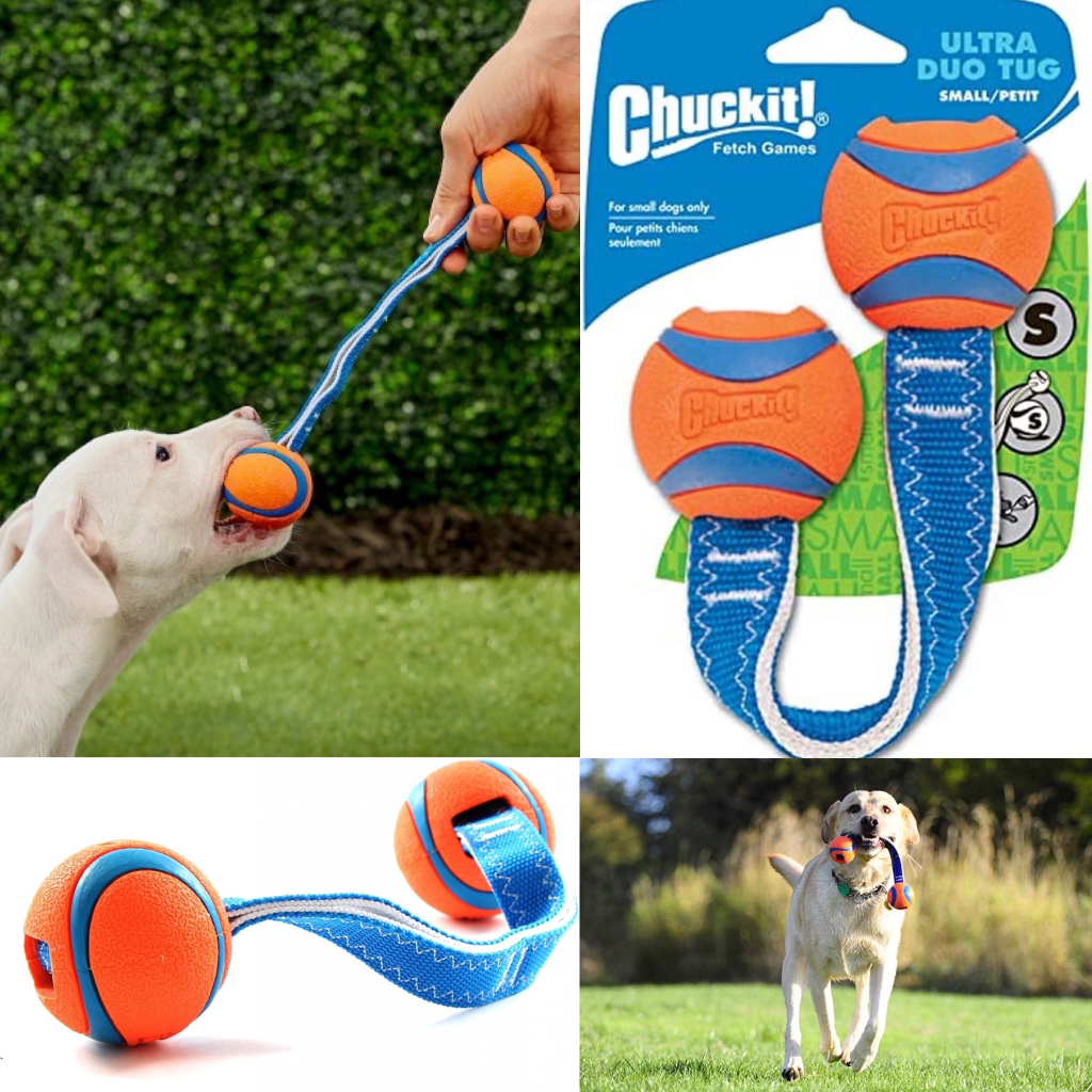 MEDIUM Chuckit Ultra Duo Durable Tug Tough Dog Toy Indoor Outdoor Toy Shopee Singapore