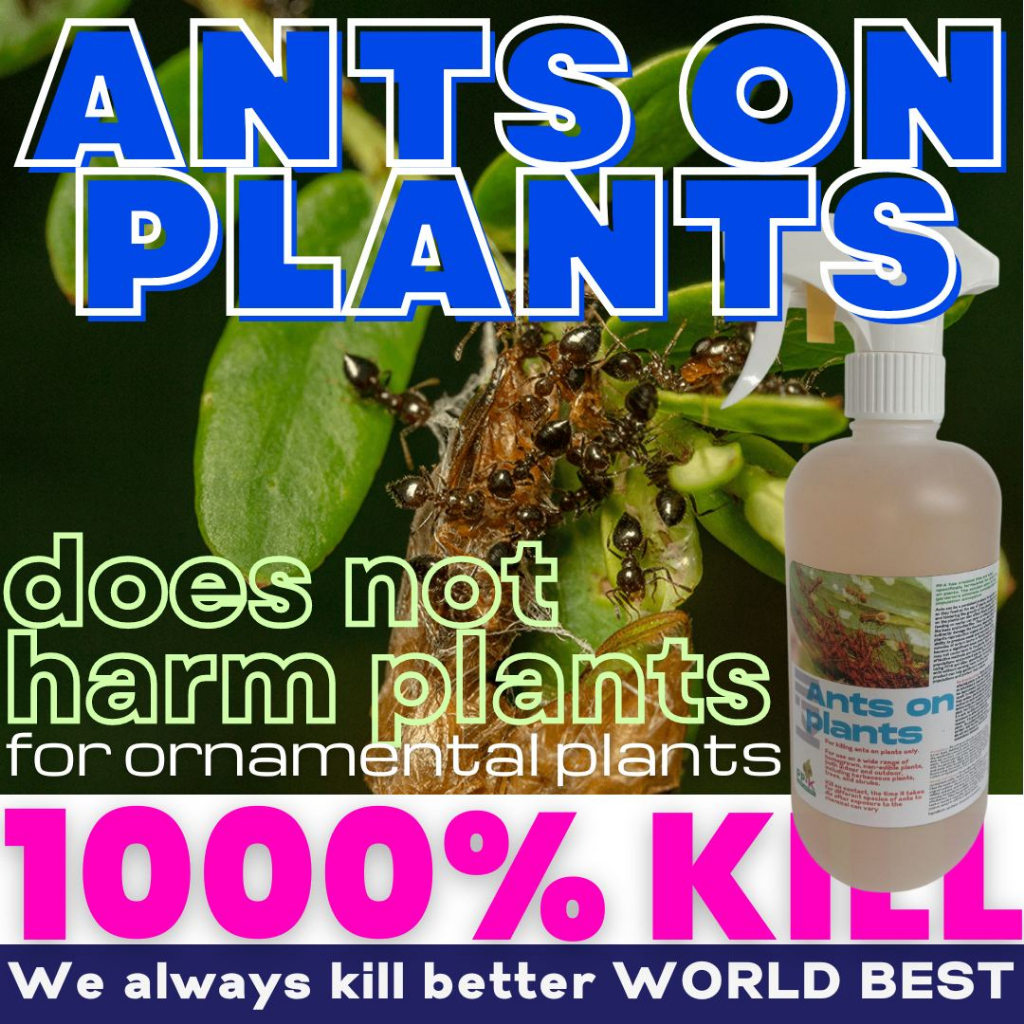 Ant Killer, Kill Ants on Plants (1000 KILL, safe for plants) Shopee Singapore