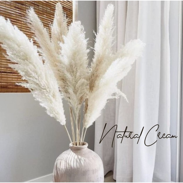 JUMBO Natural Pampas Grass 140cm Home Decoration Flower Arrangement