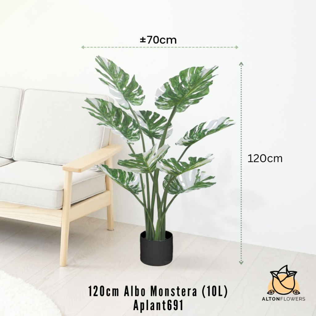 Plant artificial Albino Monstera 120cm, home decor, garden, events ...