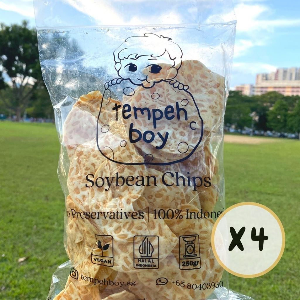 Famous Tempeh Boy Tempeh Chips Bundel (4 x 250g) Shopee Singapore