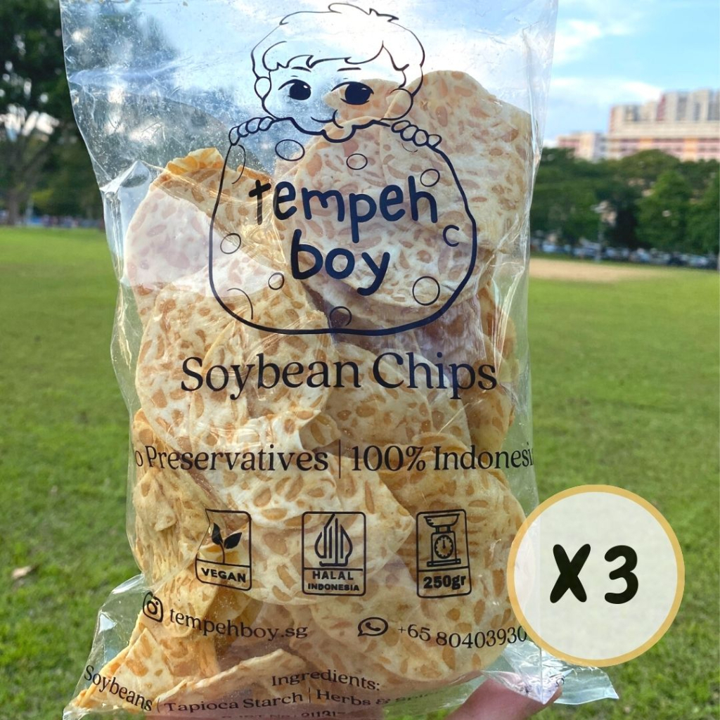 Famous Tempeh Boy Tempeh Chips Bundel (3 x 250g) Shopee Singapore