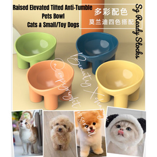 Elevated tilted 2024 dog bowls