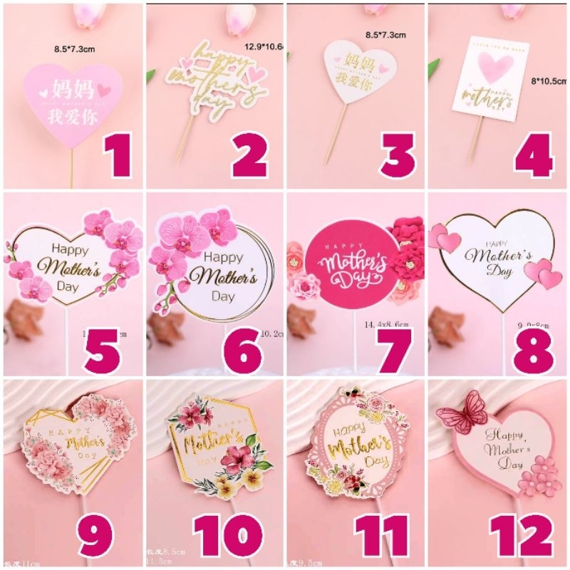 🇸🇬 Happy Mother's Day Flowers Roses Carnation Floral Bouquet Pink Red