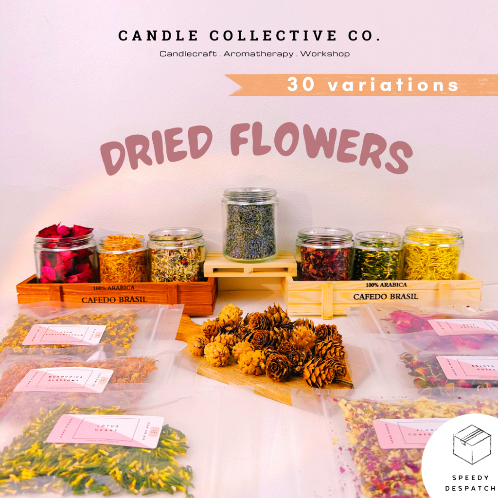 Dried Flowers Decorative 27 Types for Candles & Soap Making I Candle Collective Co