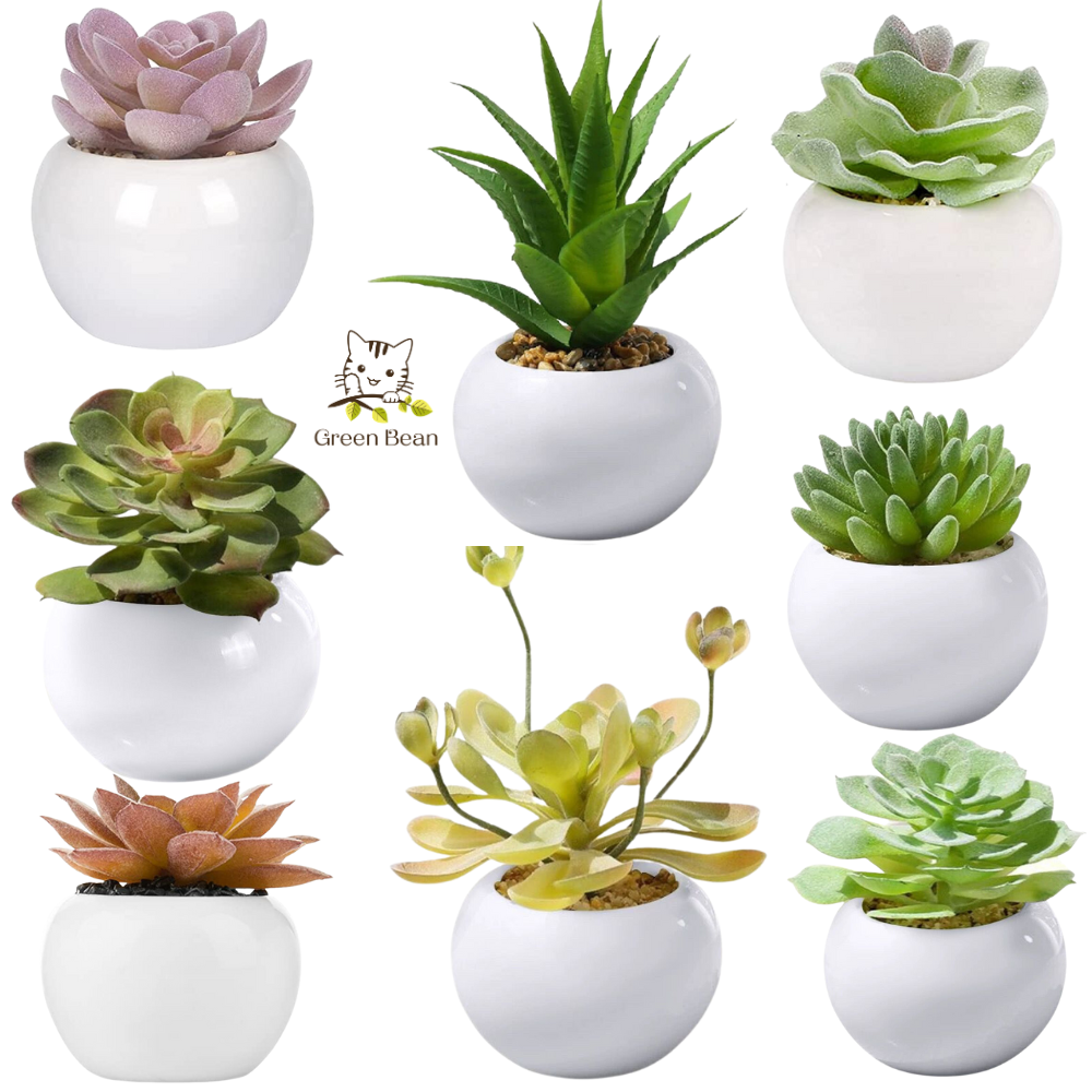 Artificial Mini Succulent Plants / Mini Artificial potted Plants