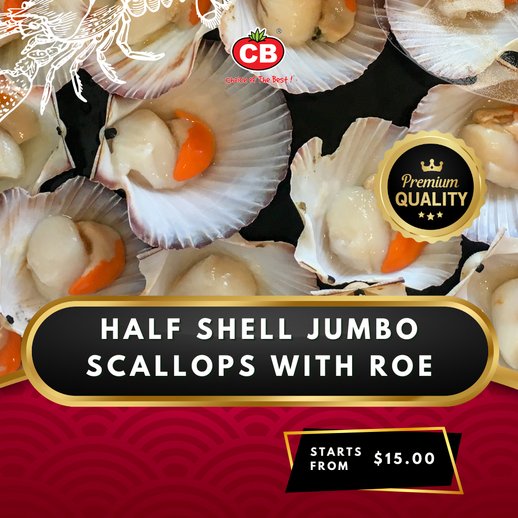 [CB] Fresh Frozen Half Shell Jumbo Scallops with Roe 1kg / 3kg / 5kg
