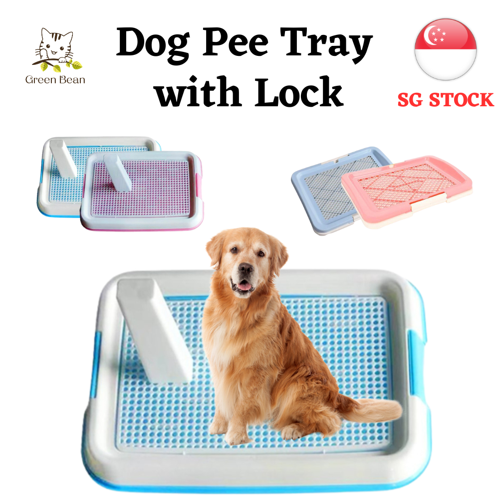 [SG STOCK] Dog Pee Tray With Lock / Portable Dog Toilet / Dog Puppy Pee Pan / Dog Training Urine