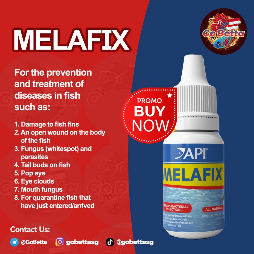 API MELAFIX ANTIBACTERIAL FISH MEDICATION 30 ML API Melafix Betta