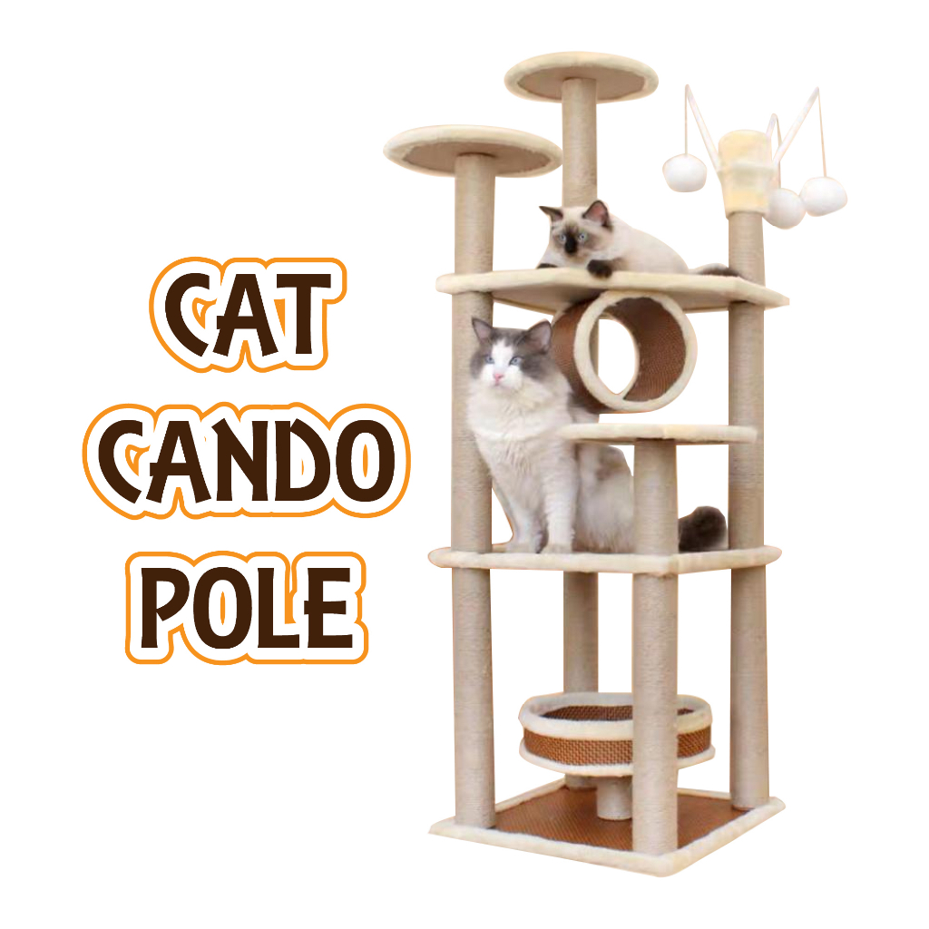 Everest cat scratcher sale