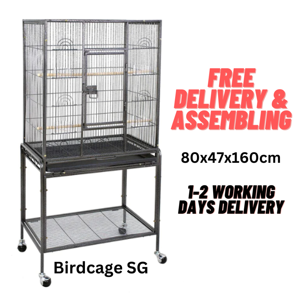 Parrot cage (Local Set) Assembled Top Hammer Sprayed Wrought Iron Rust