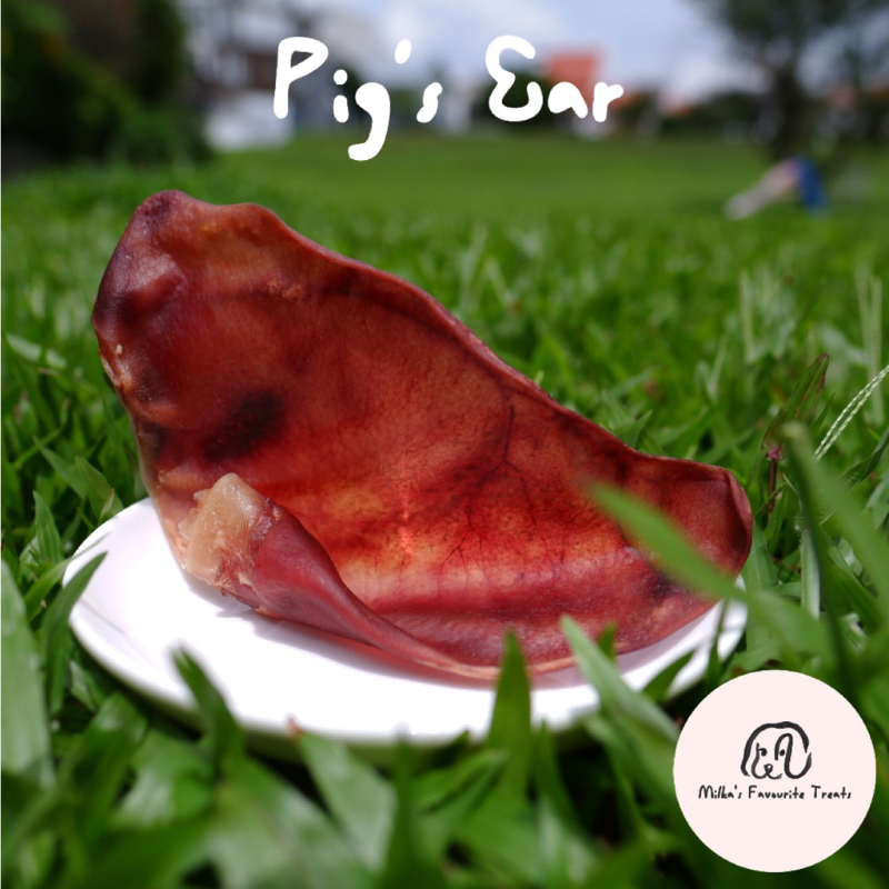 Dehydrated Pig Ears for Healthy Dental Chew [Whole/Strips] (All Natural