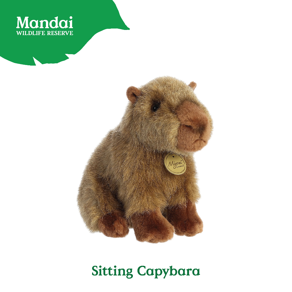 Sitting Capybara Plush Toy Stuffed with Realistic Details Textures Good