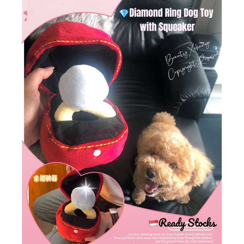 Engagement ring dog sales toy