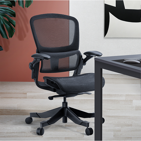 Hinomi H1 Classic Plus Ergonomic Office Chair  Mesh Adjustable / Study Chair /  Computer Chair
