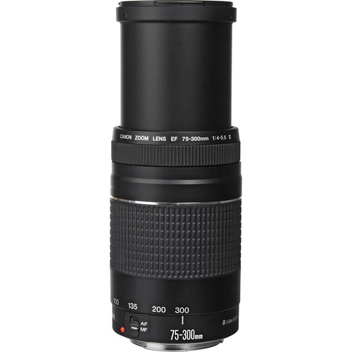 Canon EF 75-300mm f/4-5.6 III Lens | Shopee Singapore