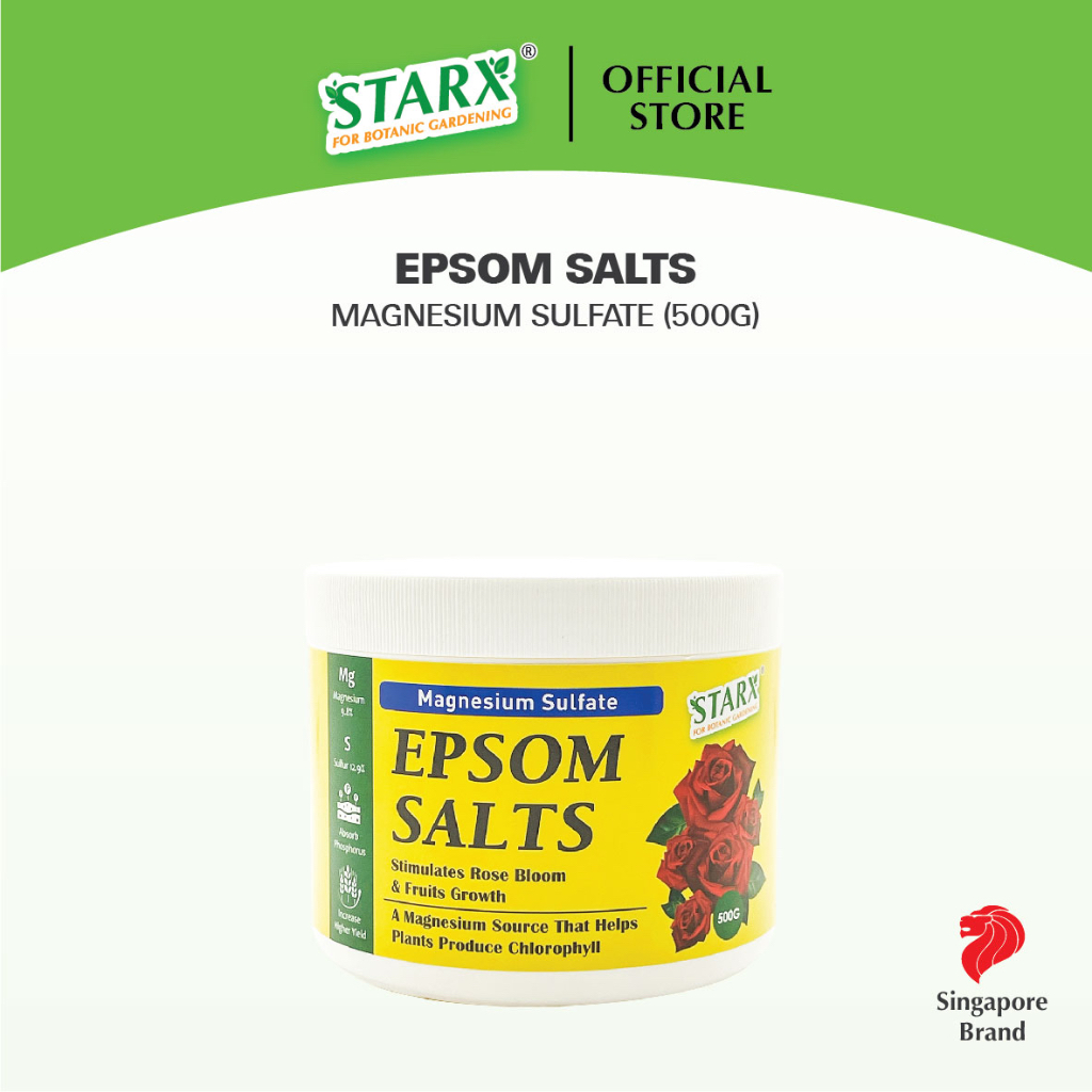 STARX 🇸🇬 Epsom Salts, Magnesium Sulfate (500g) Magnesium Sulfate