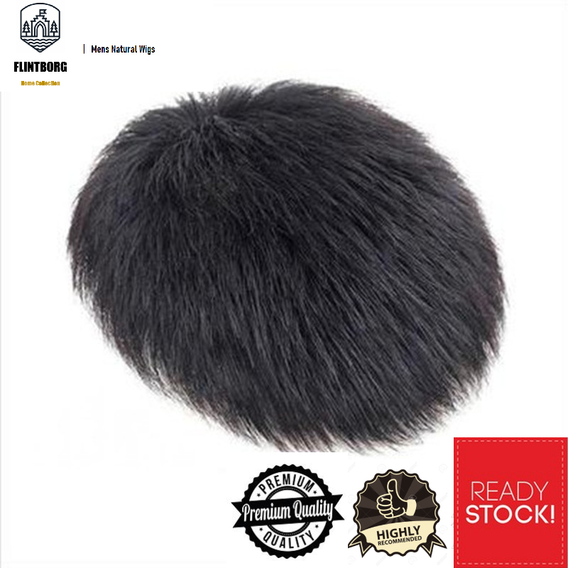 [SG STOCK] Mens Short Black Wigs Human Hair Mens Wigs Straight Layered
