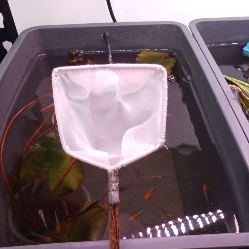 Soft Aquarium Nets Shopee Singapore