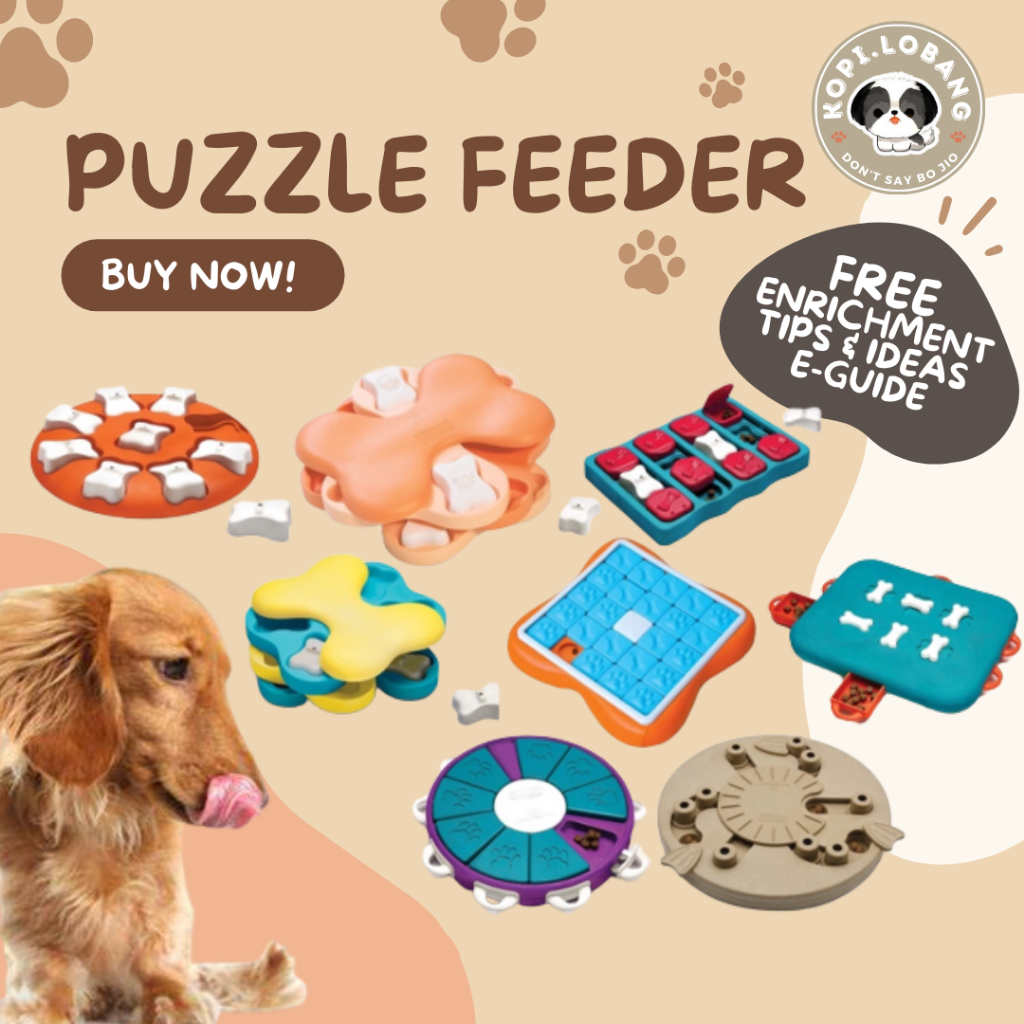 SG MR PUZZLE BRAIN TRAINING GAMES FEEDER SG Stock FREE