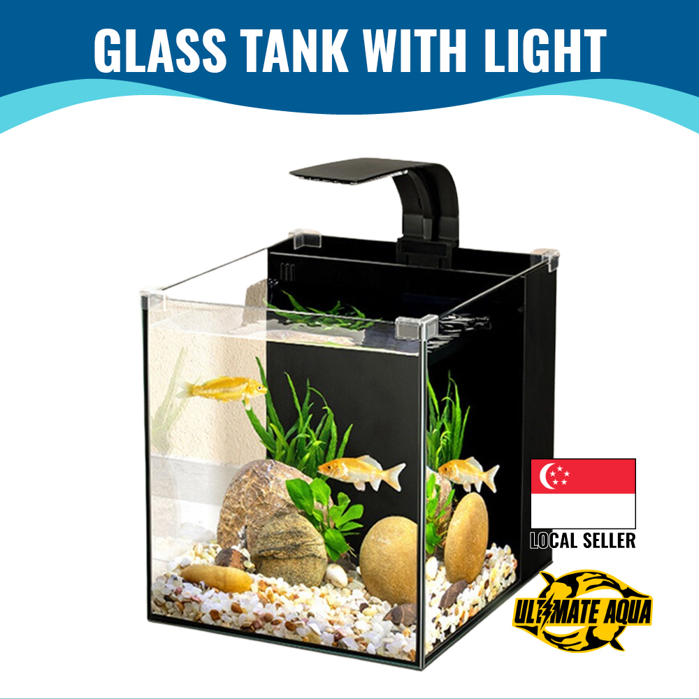 YEE 3 In 1 Back Filter Fish Tank Ultra Clear Glass Shopee Singapore