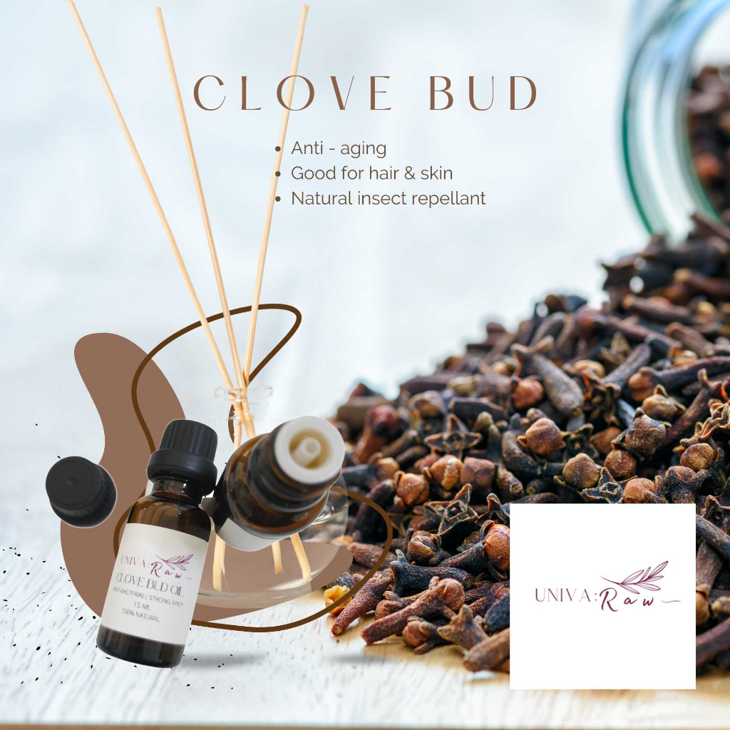 Clove bud 2024 essential oil