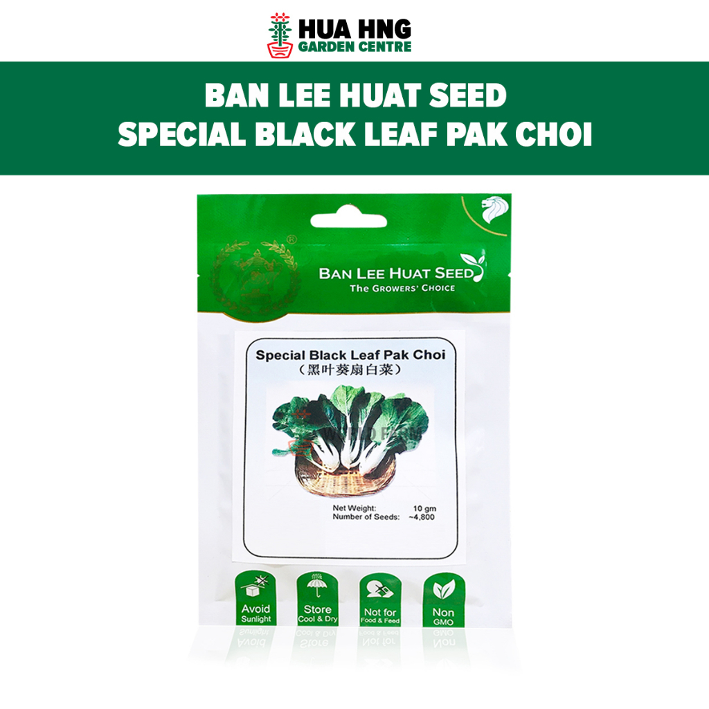 Ban Lee Huat Seed Special Black Leaf Pak Choi Approx 4 800 Seeds