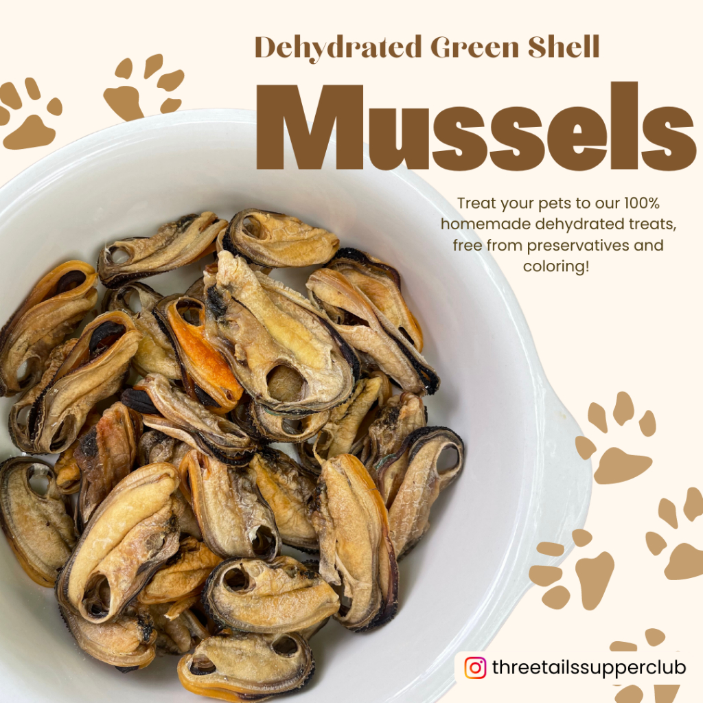 Dog and Cat Treats Dehydrated Green Shell Mussels Shopee Singapore