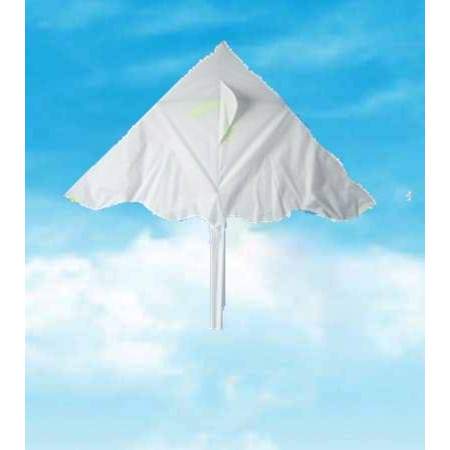 2m Plain White Delta Kite [Drawing] Outline Art DIY Handcrafted Design ...