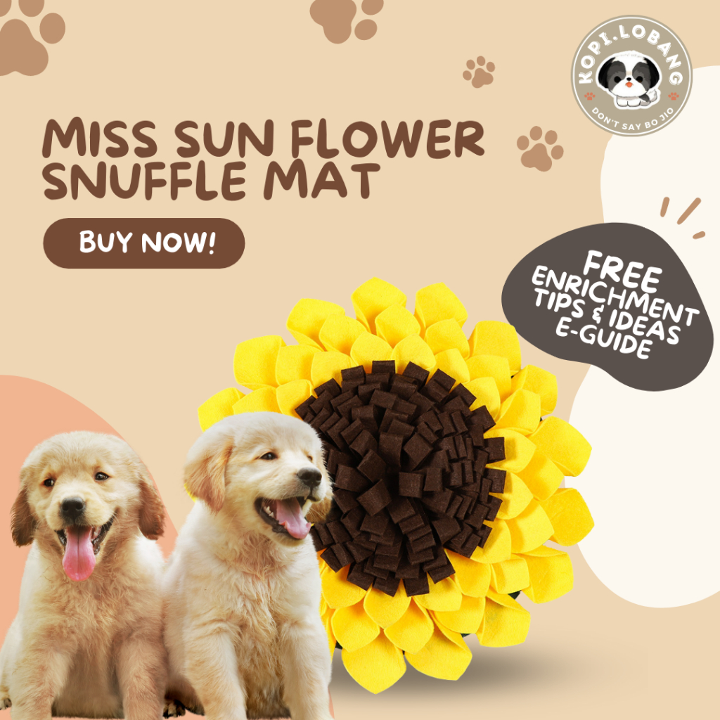 Gwong Sunflower Shape Dog Snuffle Mat Puppy Training Sniffing