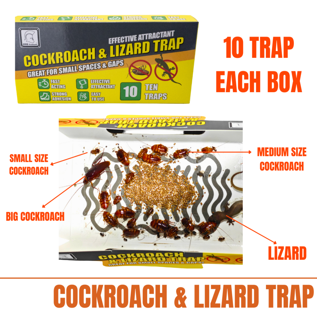 ONS Lizard Trap & Cockroach Trap (Pest Control)