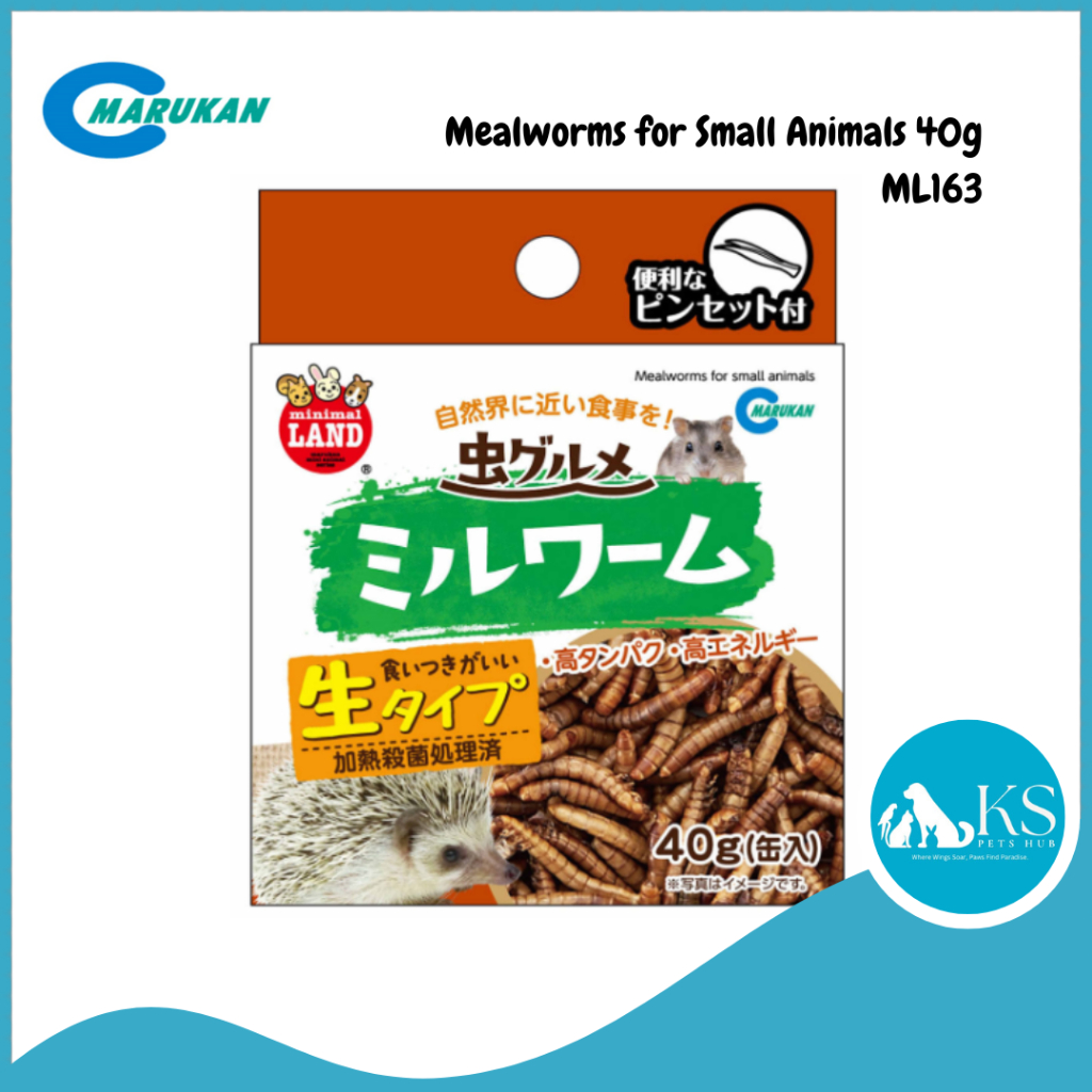 Marukan Dried Mealworm for Small Animal 40g (ML163) | Shopee Singapore