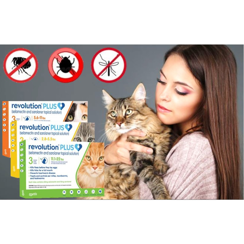[SG SELLER] Revolution plus Anti Flea Anti Ear Mites Vet Pet Cat Dog