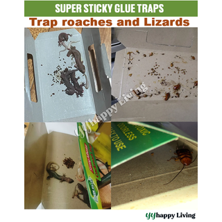 [SG Ready Stock]10pcs(1box) Lizard Trap & Cockroach Trap with baits ...