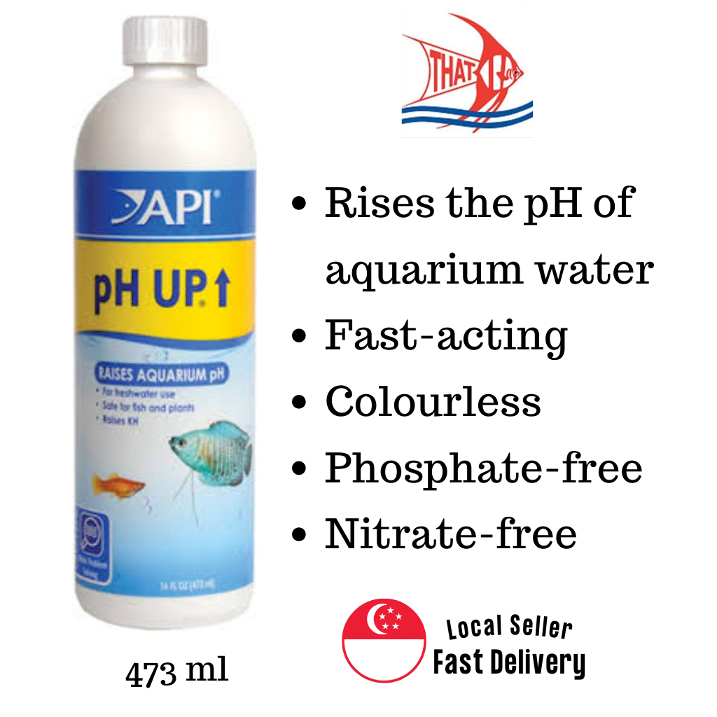 Ph shop up aquarium