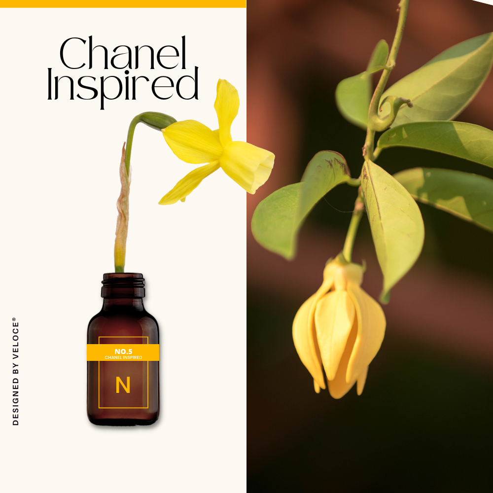 Chanel no 5 online essential oil