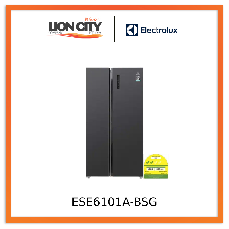 Electrolux ESE6101ABSG Nutrifresh Inverter Ultimatetaste 700 Side By