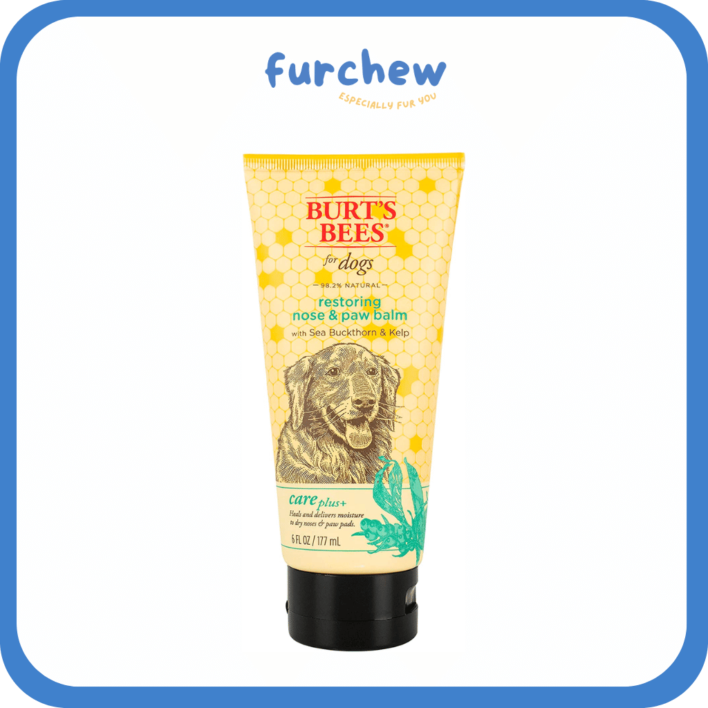 [SG] Burt's Bees for Dogs & Puppies Shampoo , Conditioner & Spray